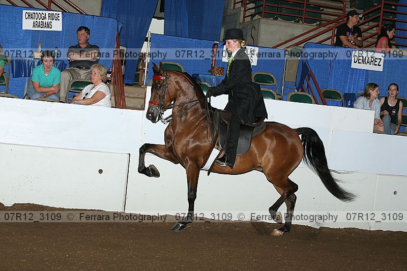 Proof 07r12_3109