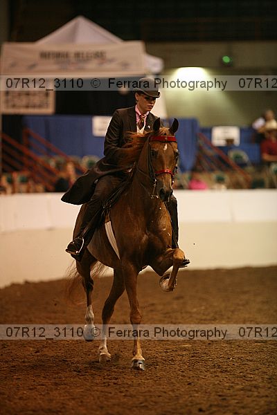 Proof 07r12_3110