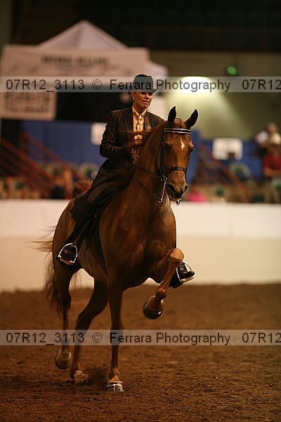 Proof 07r12_3113
