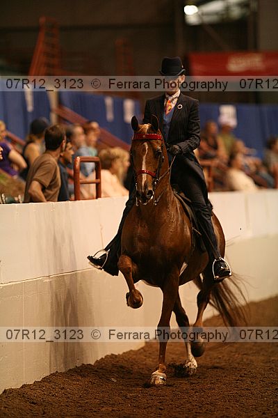 Proof 07r12_3123