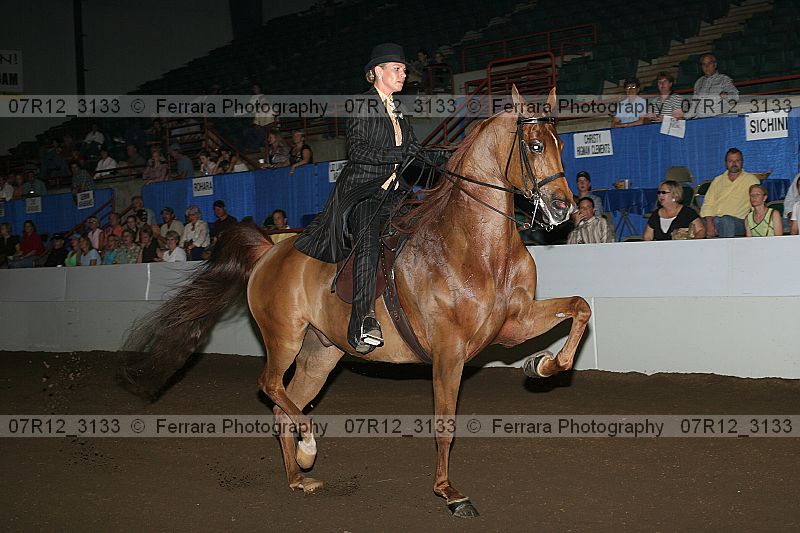 Proof 07r12_3133