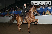 07r12_3133 proof
