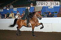 07r12_3134 proof