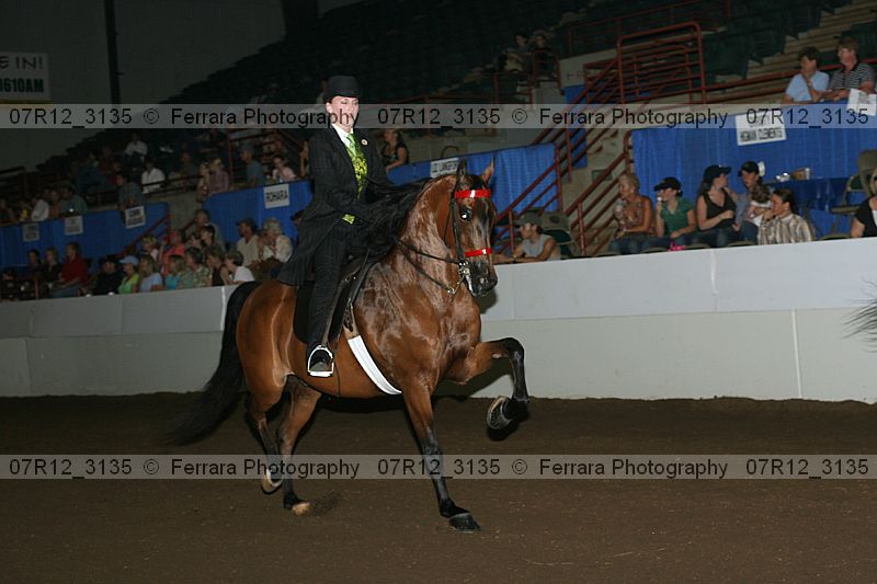 Proof 07r12_3135