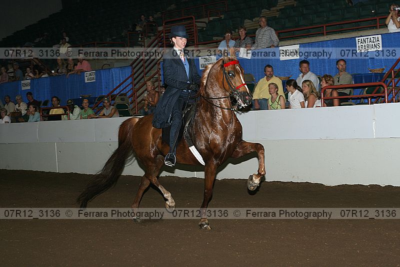 Proof 07r12_3136