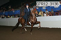07r12_3136 proof