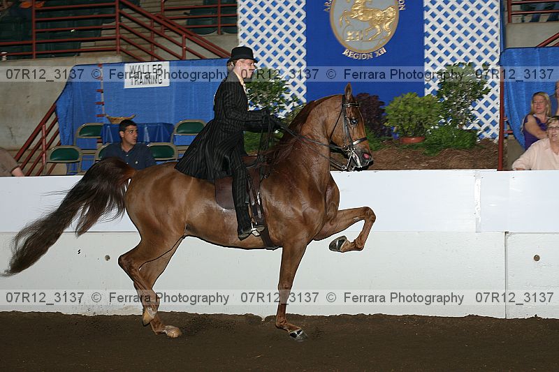 Proof 07r12_3137
