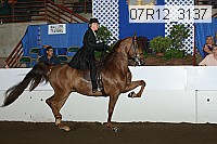 07r12_3137 proof