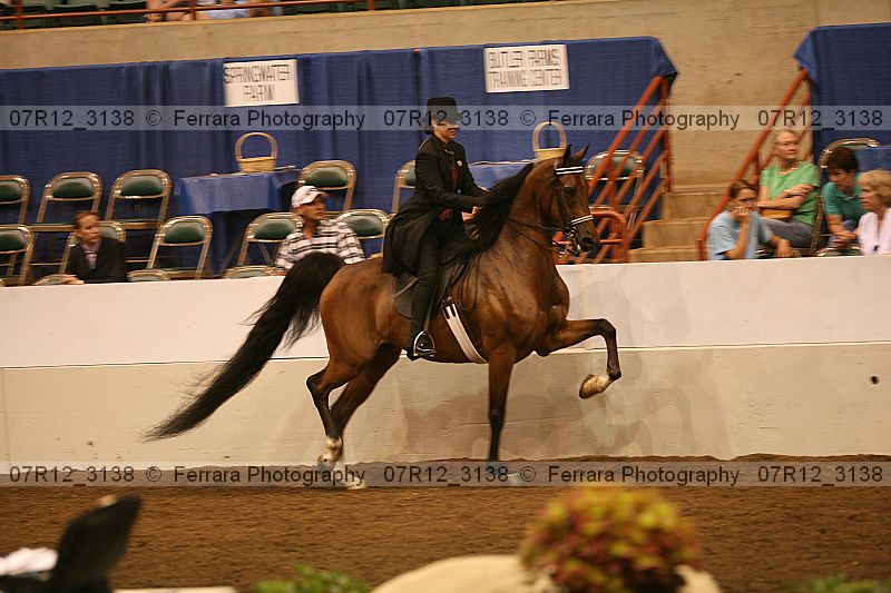 Proof 07r12_3138