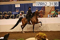 07r12_3138 proof
