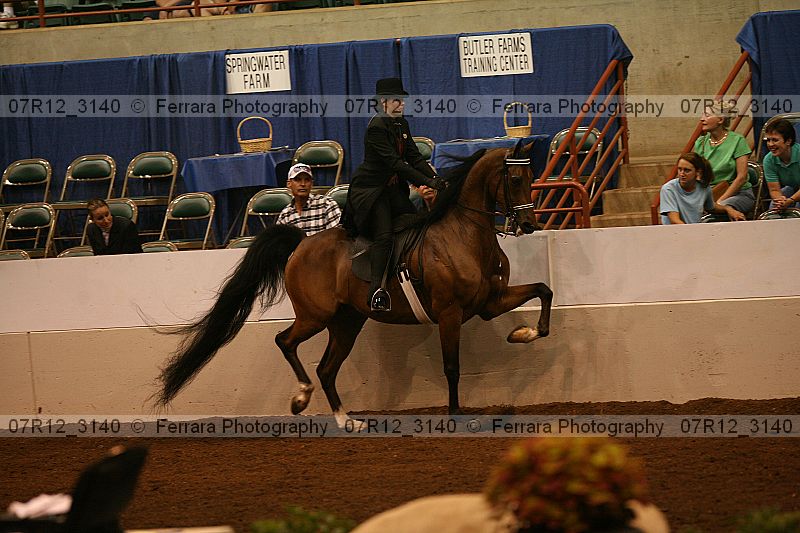 Proof 07r12_3140