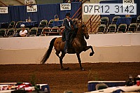 07r12_3142 proof