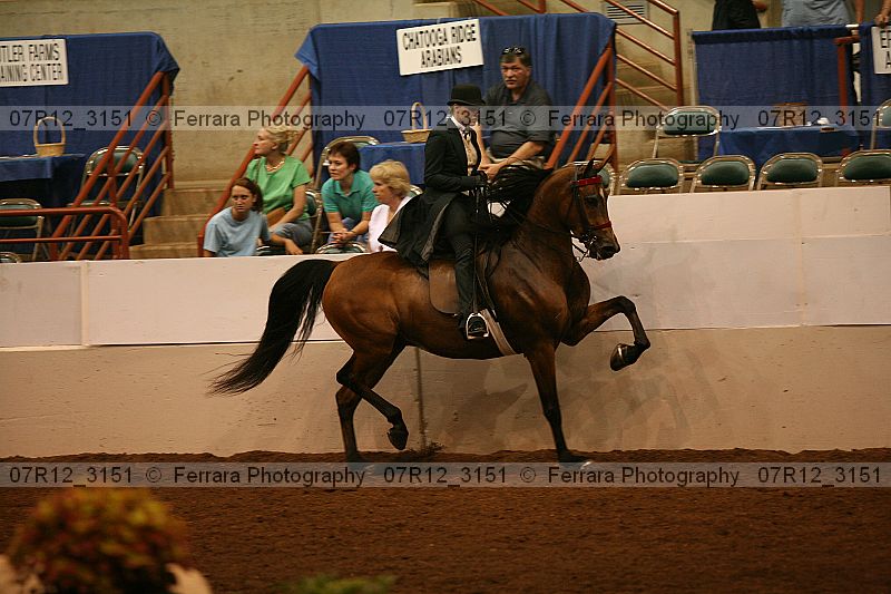Proof 07r12_3151