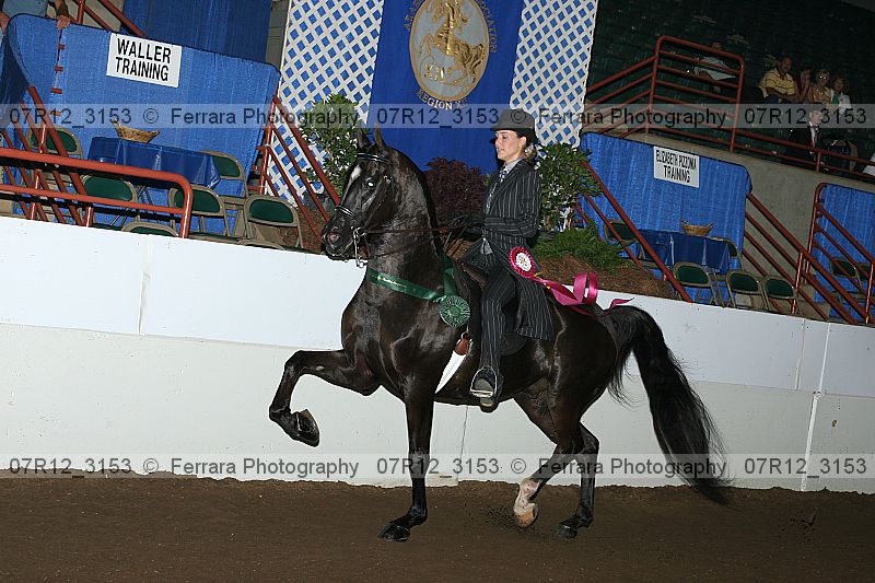 Proof 07r12_3153