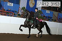 07r12_3153 proof