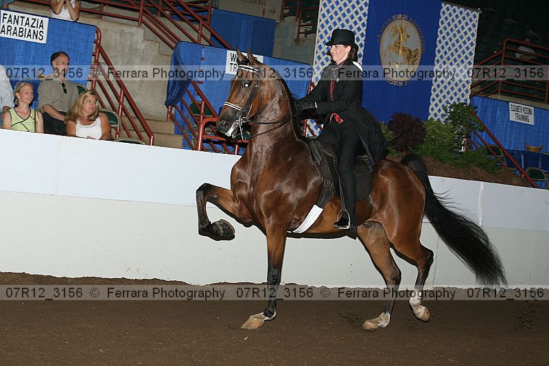 Proof 07r12_3156