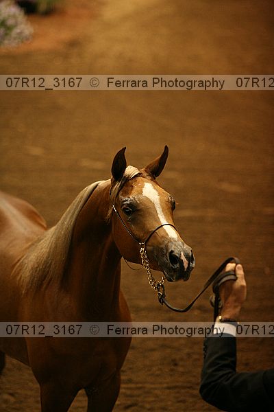 Proof 07r12_3167