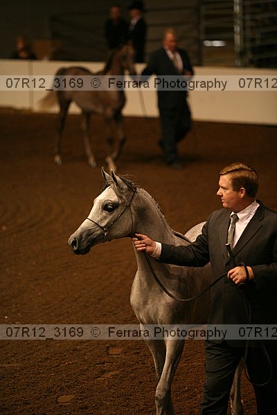 Proof 07r12_3169