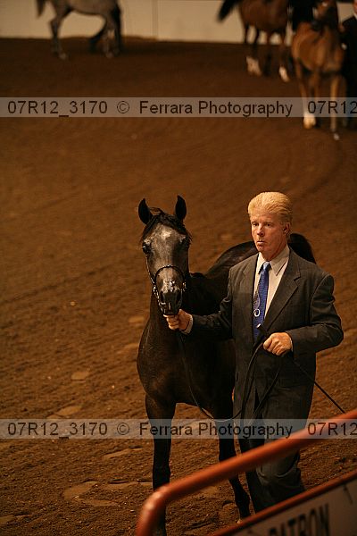 Proof 07r12_3170