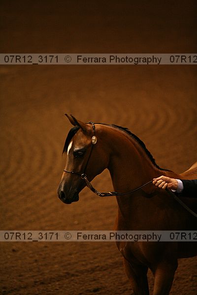 Proof 07r12_3171