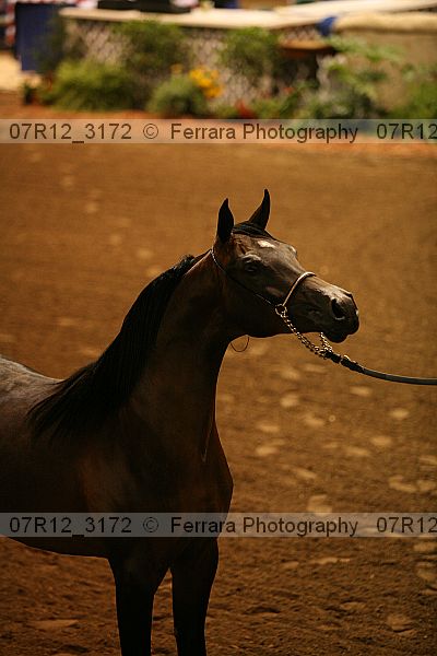 Proof 07r12_3172