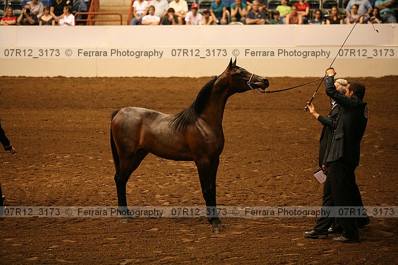 Proof 07r12_3173