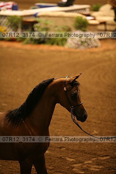 Proof 07r12_3174
