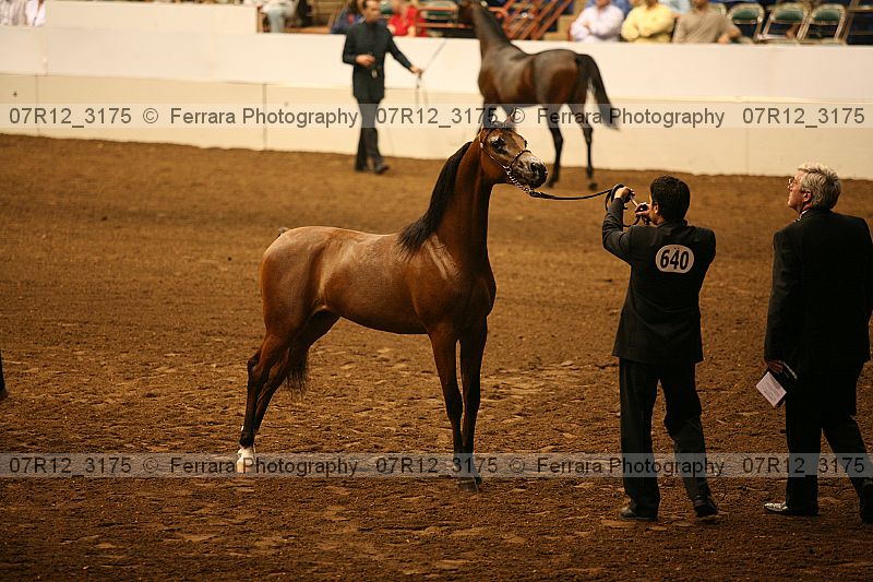 Proof 07r12_3175