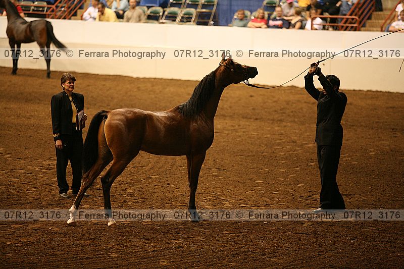 Proof 07r12_3176