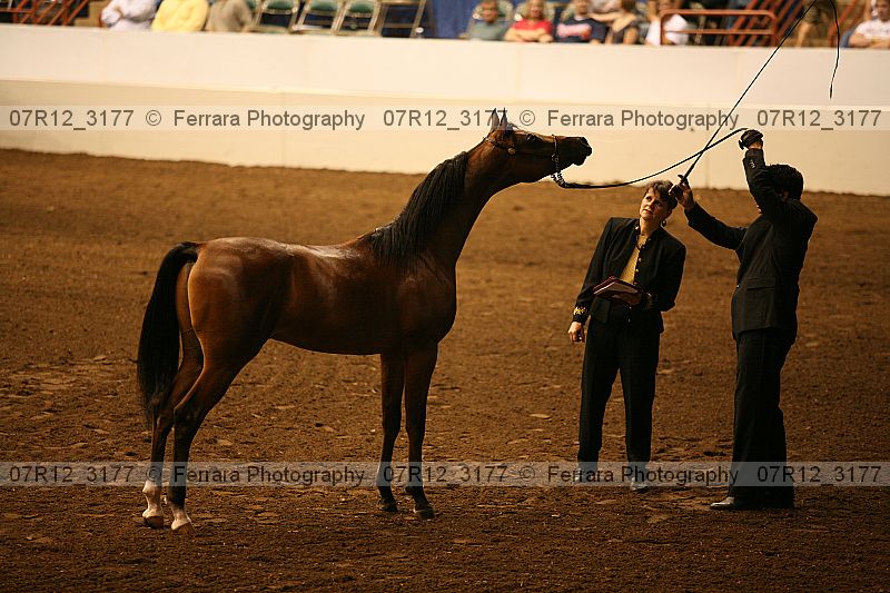 Proof 07r12_3177