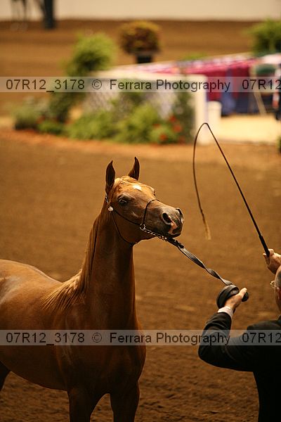 Proof 07r12_3178