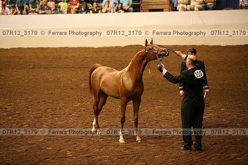 Proof 07r12_3179