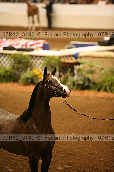 Proof 07r12_3180
