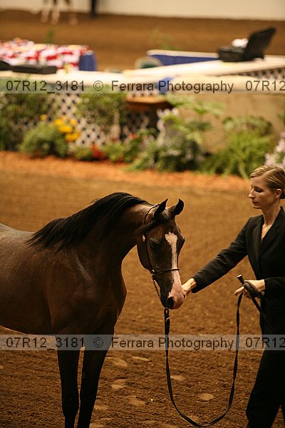 Proof 07r12_3181