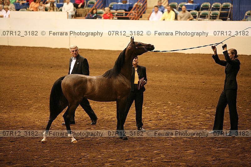 Proof 07r12_3182