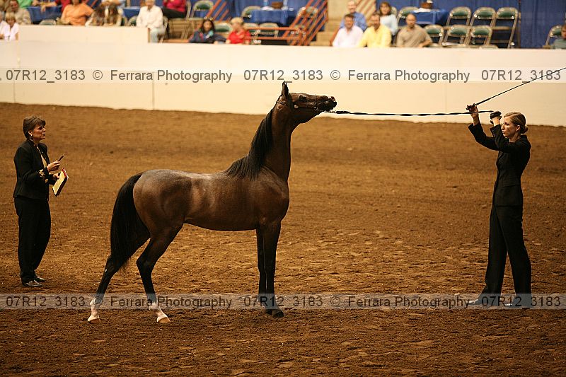 Proof 07r12_3183