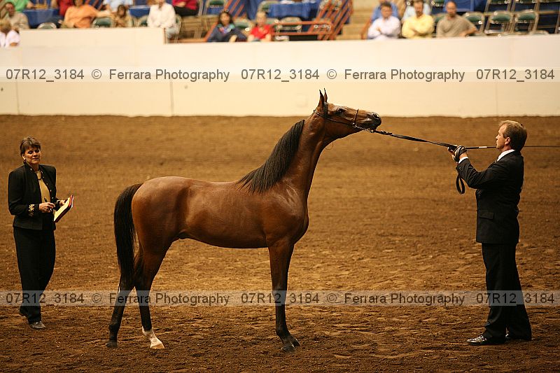 Proof 07r12_3184