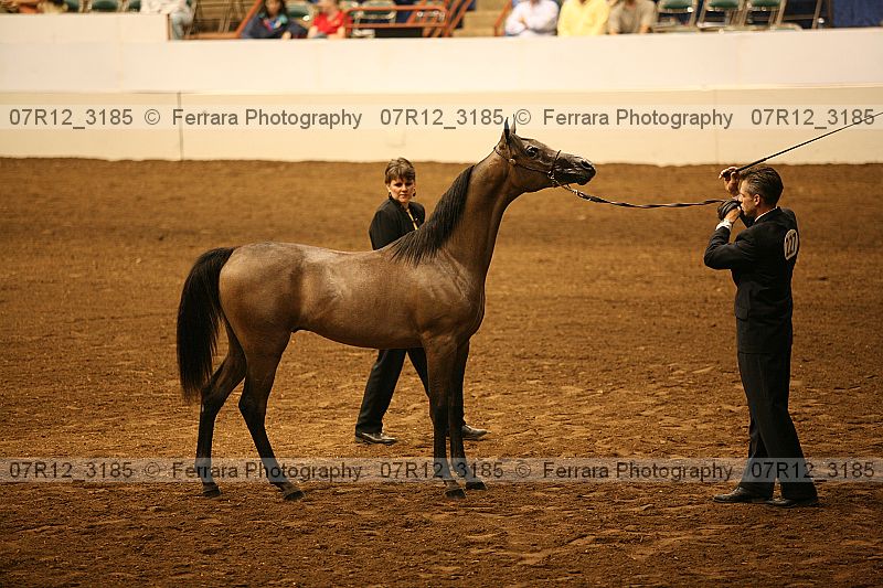 Proof 07r12_3185