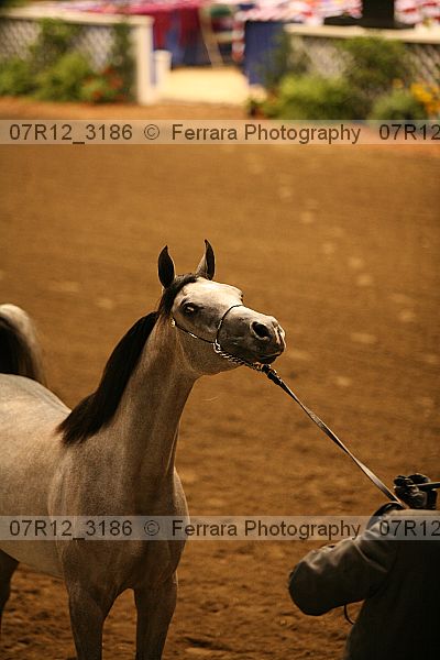Proof 07r12_3186