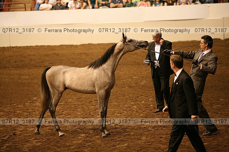 Proof 07r12_3187