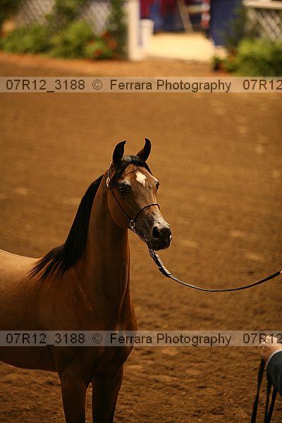 Proof 07r12_3188