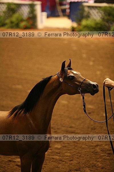 Proof 07r12_3189