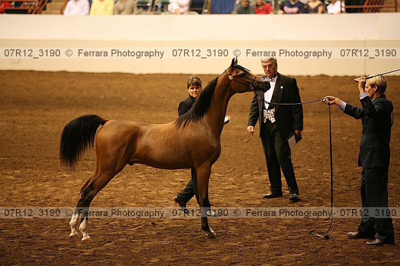 Proof 07r12_3190