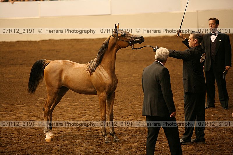 Proof 07r12_3191