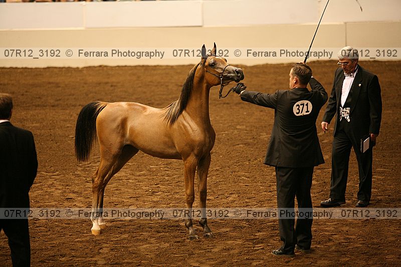 Proof 07r12_3192