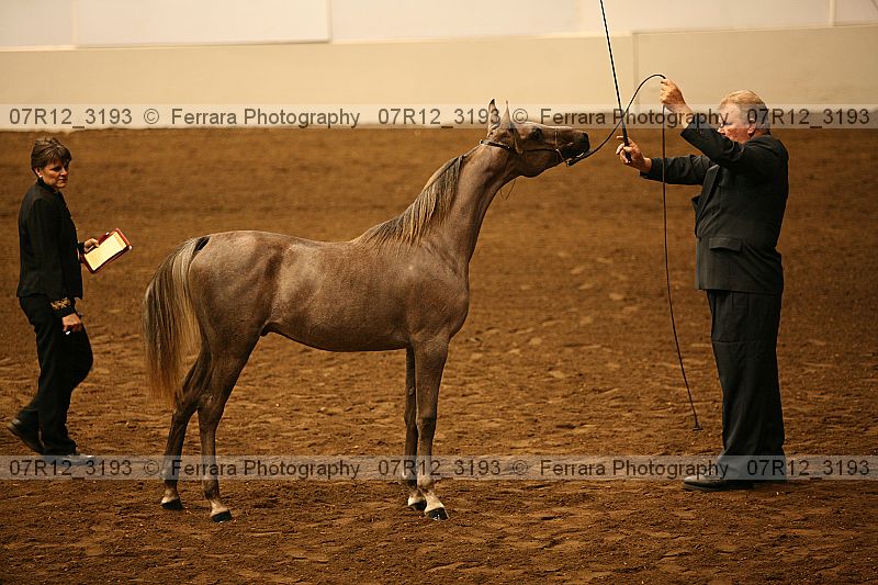 Proof 07r12_3193