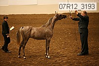 07r12_3193 proof