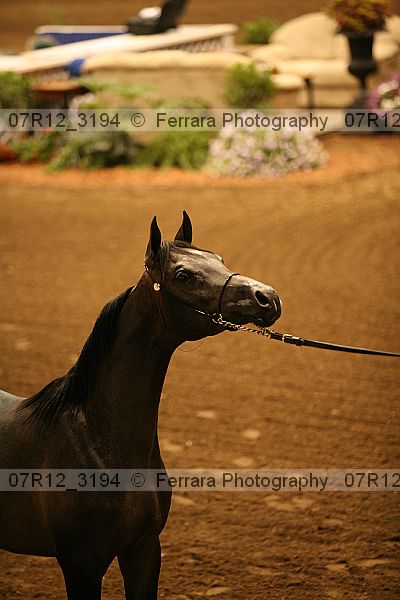 Proof 07r12_3194
