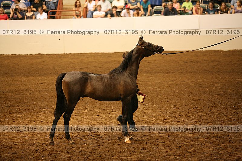 Proof 07r12_3195