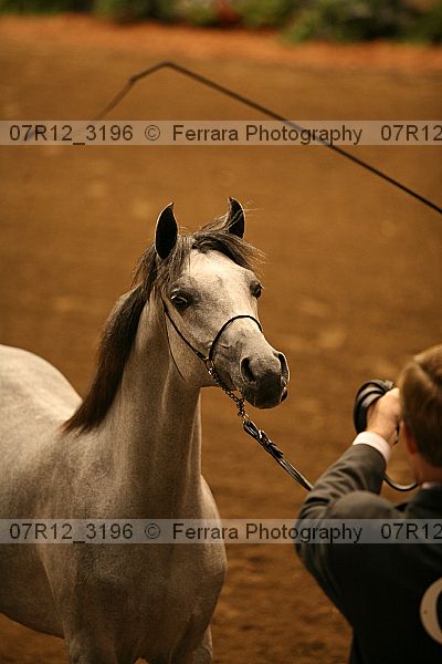Proof 07r12_3196